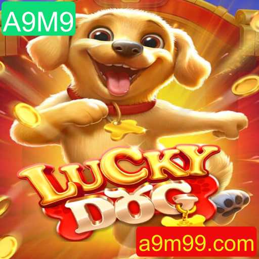 Descubra o Fascinante Mundo de LuckyDog e a Estratégia A9M9